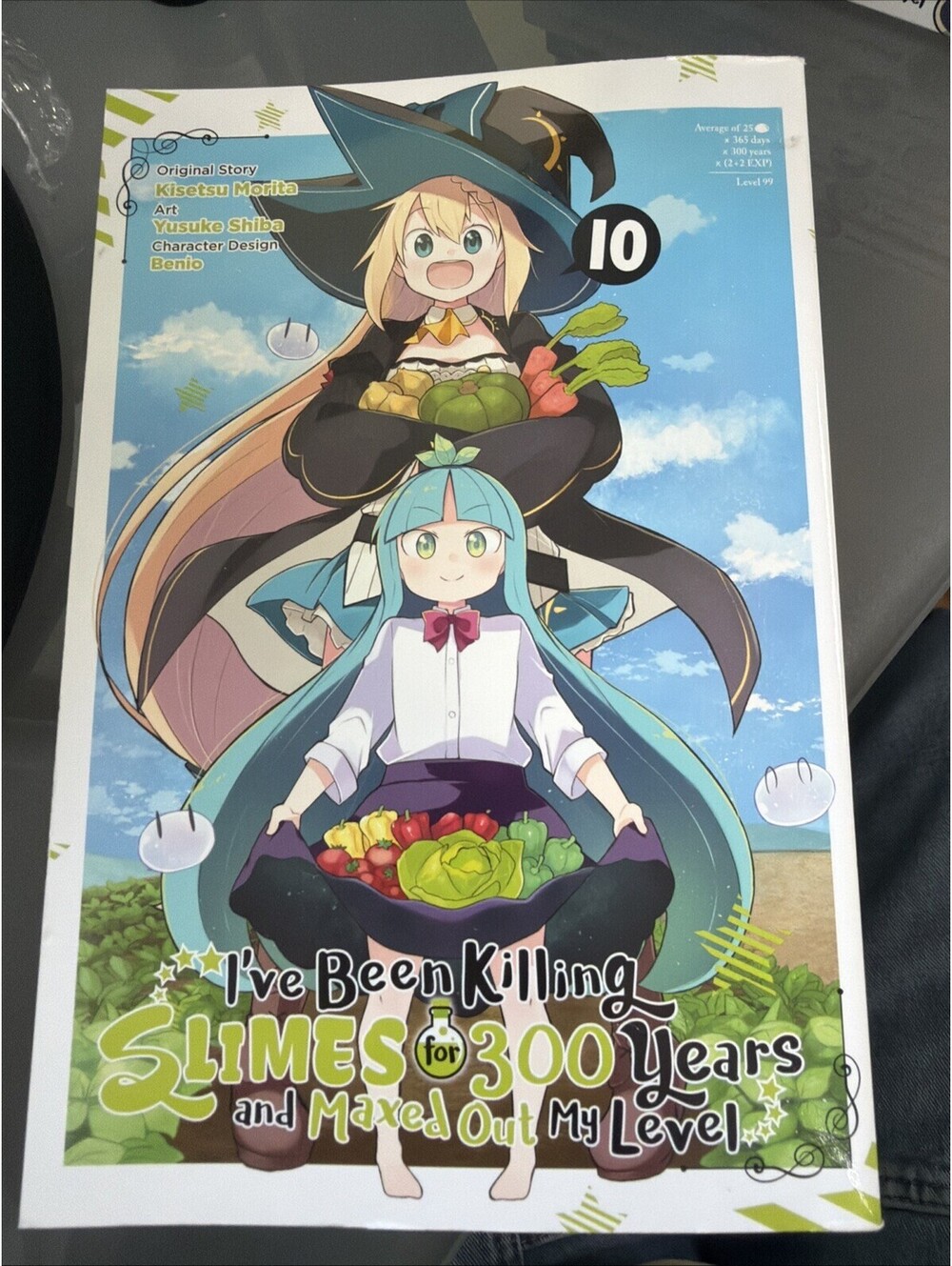 I’ve Been Killing Slimes for 300 Years Vol 10 Manga English Yen Press